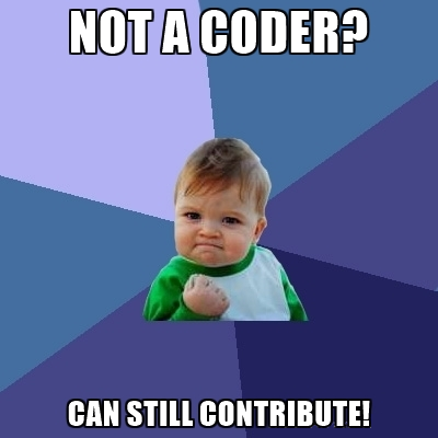 Image source: https://en.wikipedia.org/wiki/Success_Kid